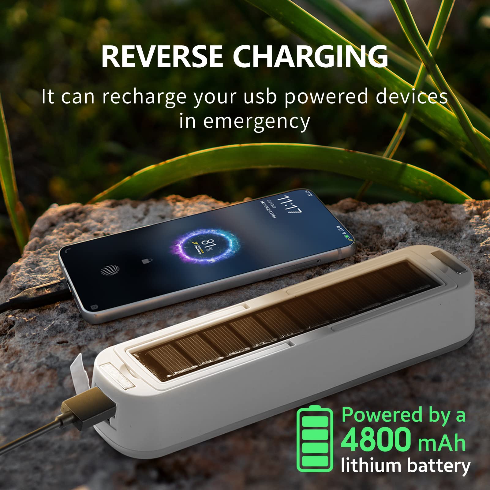 Solar Rechargeable Camping Lan - Renewable Energy Sources 评论和价格