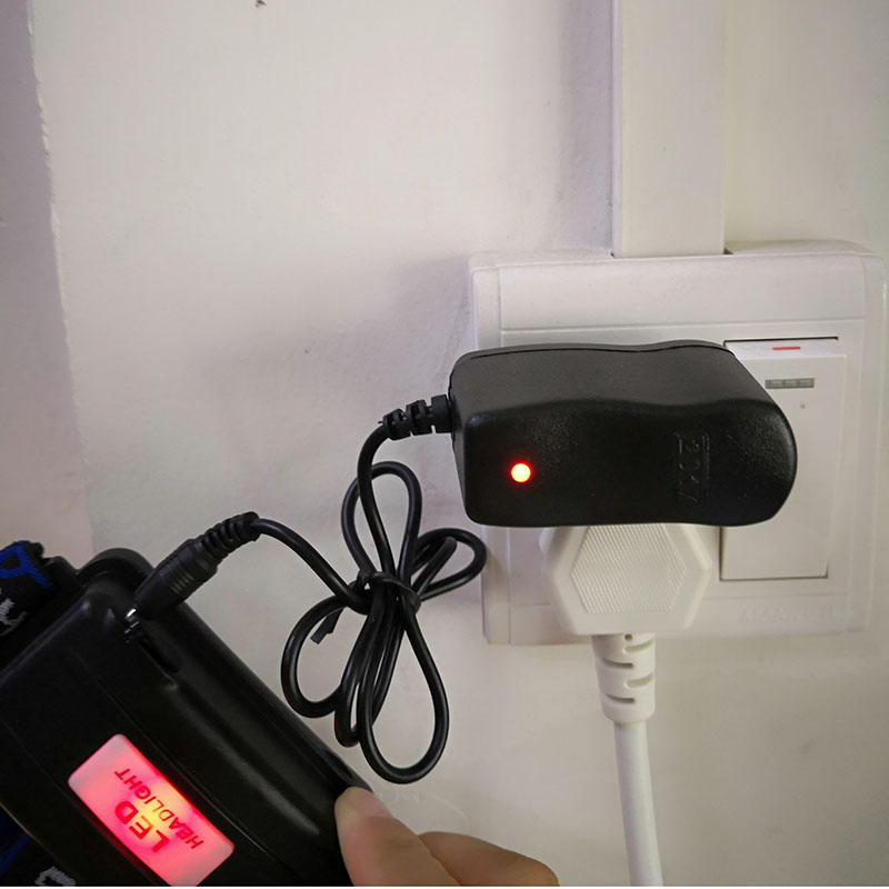 AC to DC 4.2V 0.5A 500ma 3.7V  - Renewable Energy Sources 评论和价格